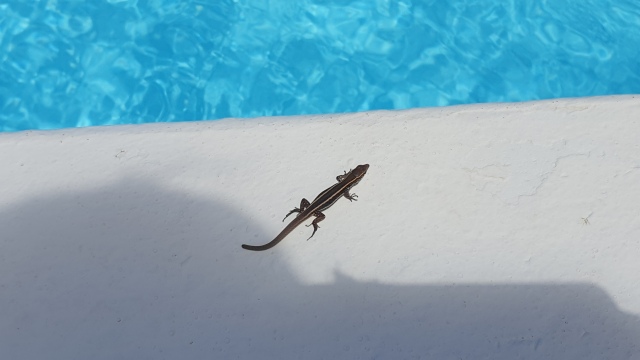 ../images/fotoalbum/lanzarote21/2021-06-22 15.18.49
